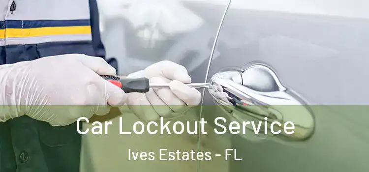 Car Lockout Service Ives Estates - FL