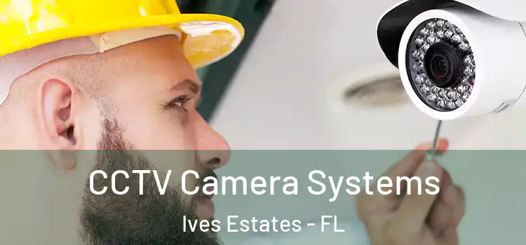 CCTV Camera Systems Ives Estates - FL