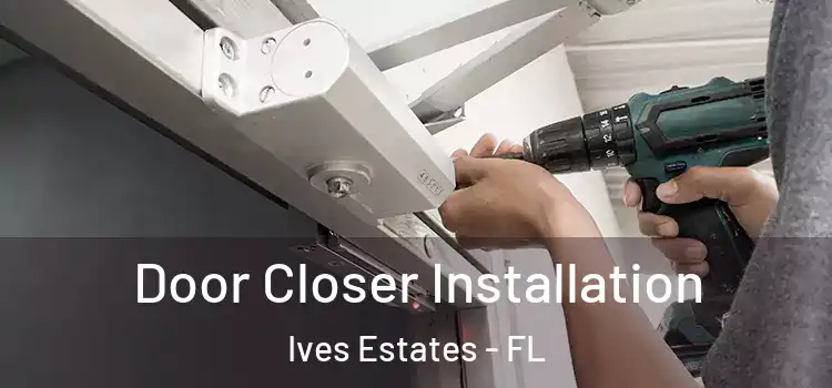 Door Closer Installation Ives Estates - FL