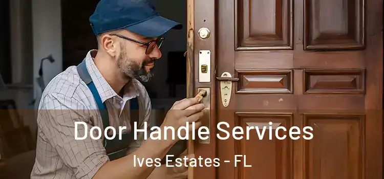 Door Handle Services Ives Estates - FL