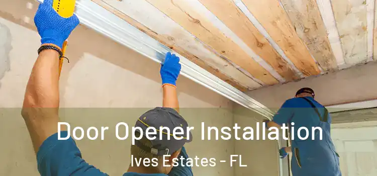 Door Opener Installation Ives Estates - FL