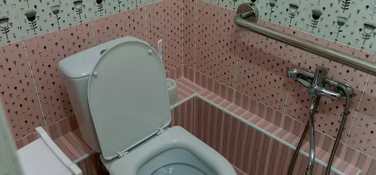 Meeting Diverse Needs With Accessible Restroom Solutions in Ives Estates, FL