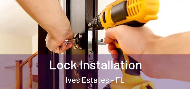 Lock Installation Ives Estates - FL