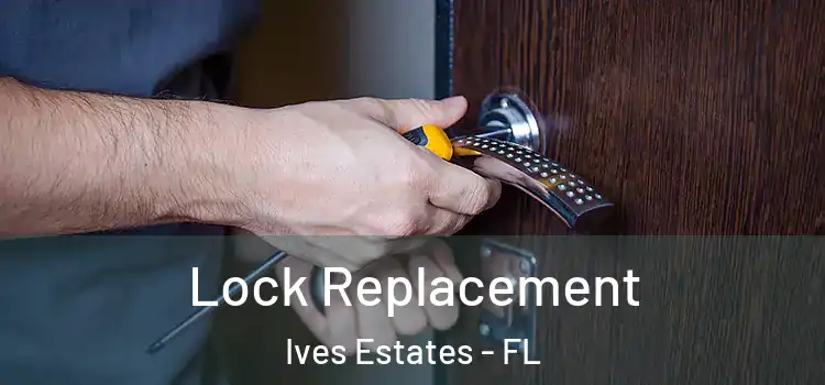 Lock Replacement Ives Estates - FL