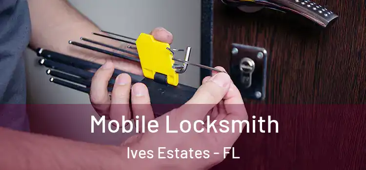 Mobile Locksmith Ives Estates - FL